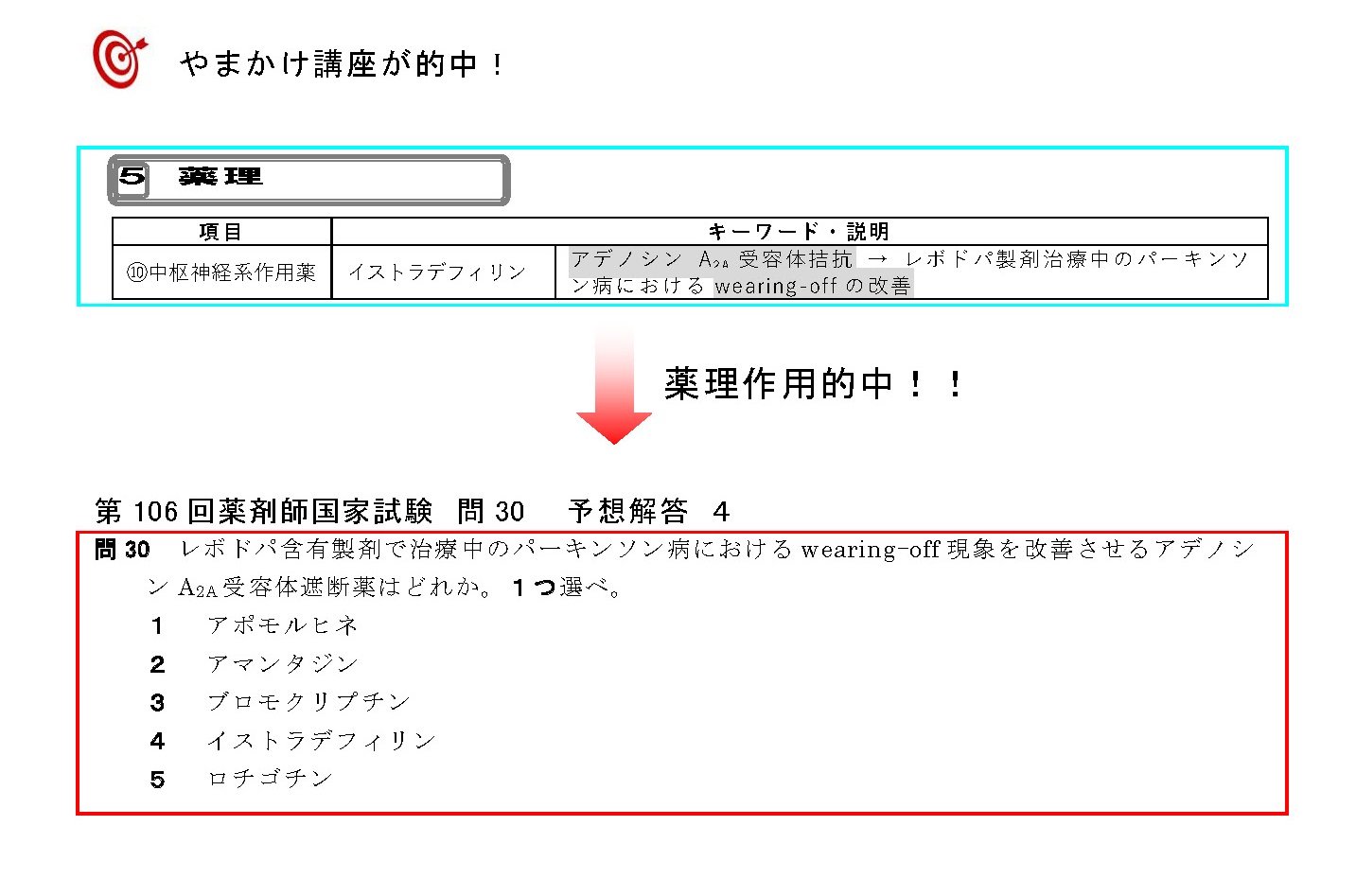 第106回 薬剤師国家試験【的中問題】 | 薬剤師国家試験対策予備校