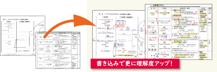 オリジナルテキストの一例