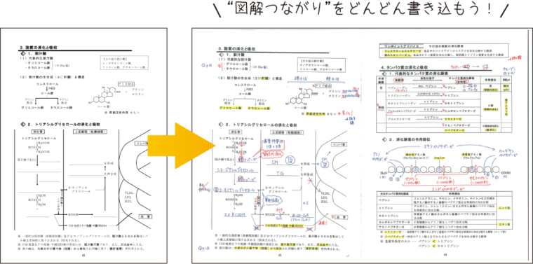 図解つながりをどんどん書き込もう！